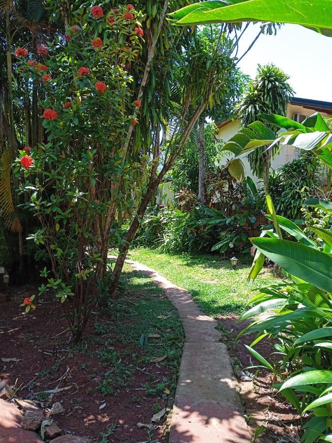 Hostel Garden Stone Puerto Iguazú Zewnętrze zdjęcie