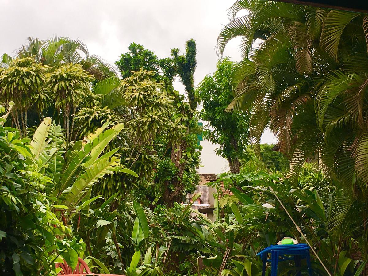 Hostel Garden Stone Puerto Iguazú Zewnętrze zdjęcie